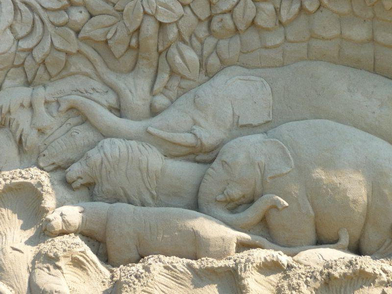 沙滩上可爱的动物艺术沙子雕塑