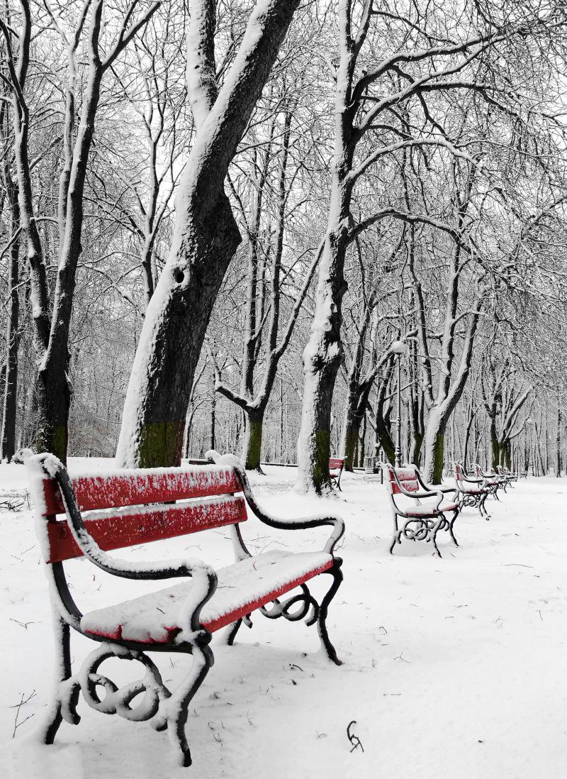 被雪覆盖的公园里的红凳