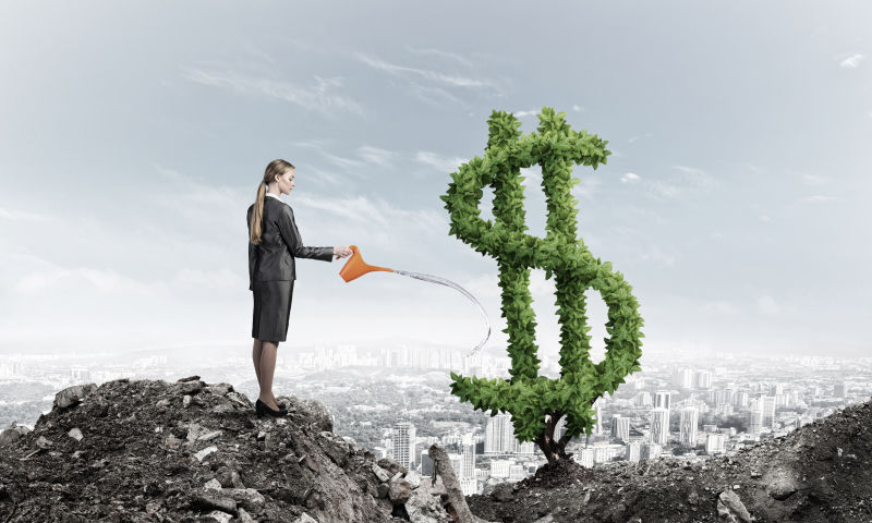 如何让钱增长的商业概念