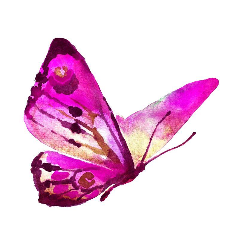 蝴蝶设计