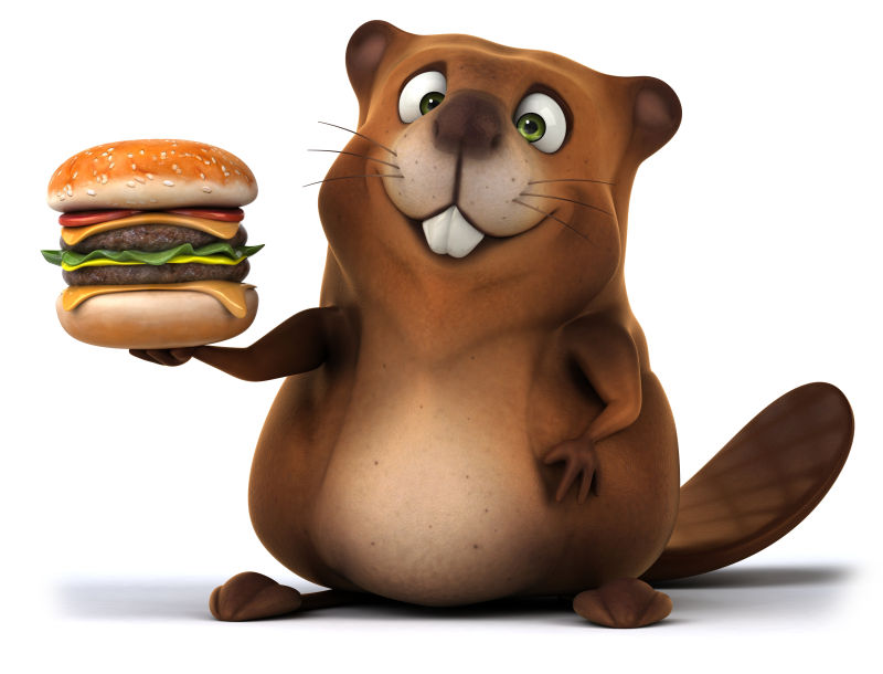 可爱的海狸拿着汉堡