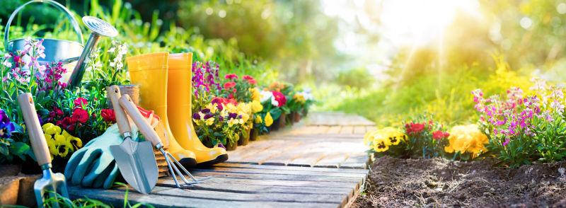 花园小路旁的各种花朵和园艺工具