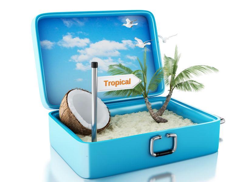 3D天堂海滩旅行手提箱
