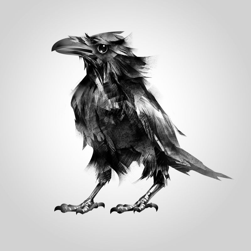 站立的彩绘乌鸦