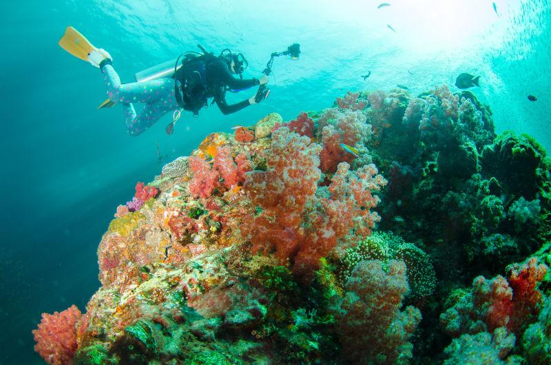神奇美丽的海底世界和潜水员