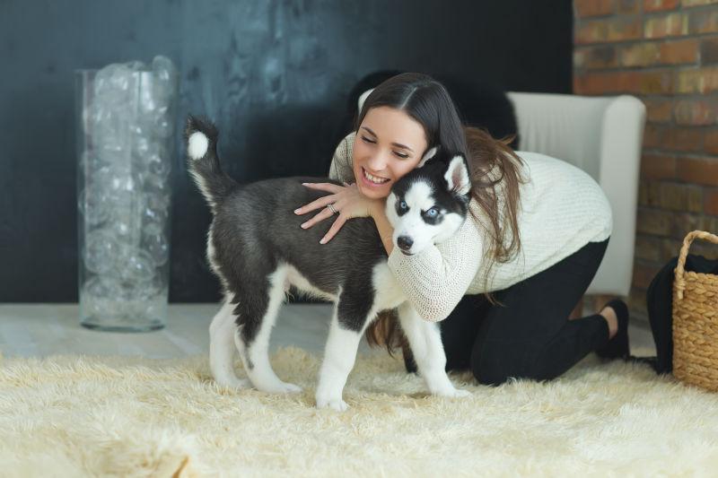 跪在白色毛毯上俯下身拥抱哈士奇的美女