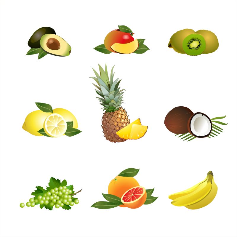 矢量新鲜热带水果插图