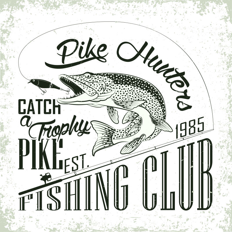 手绘风格的梭鱼插图矢量设计