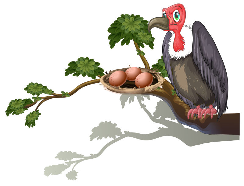 矢量守蛋的秃鹫插图