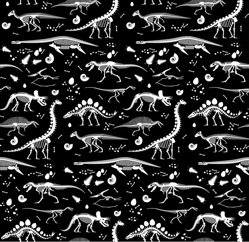 矢量恐龙化石的简易插图