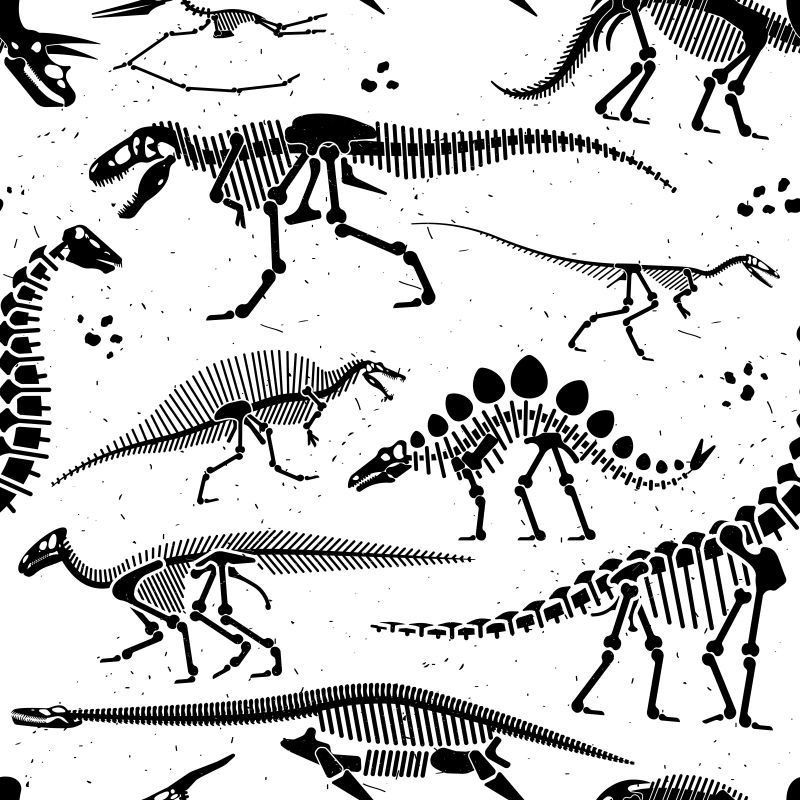 恐龙化石结构图图片