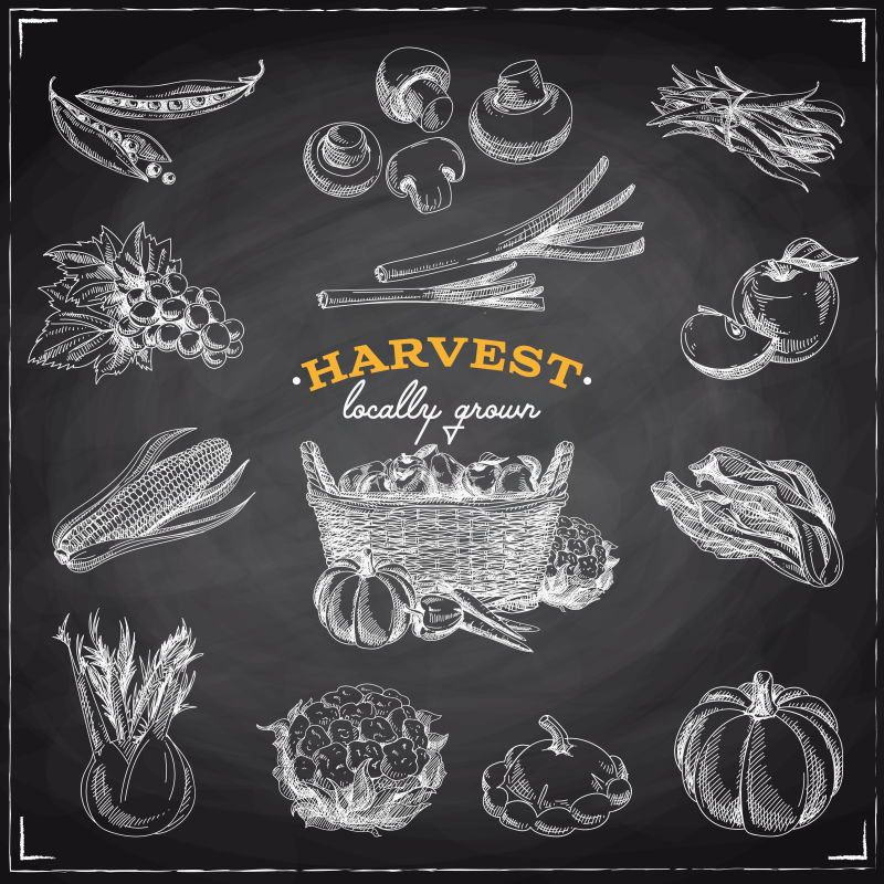 创意矢量手绘风格的食品插图