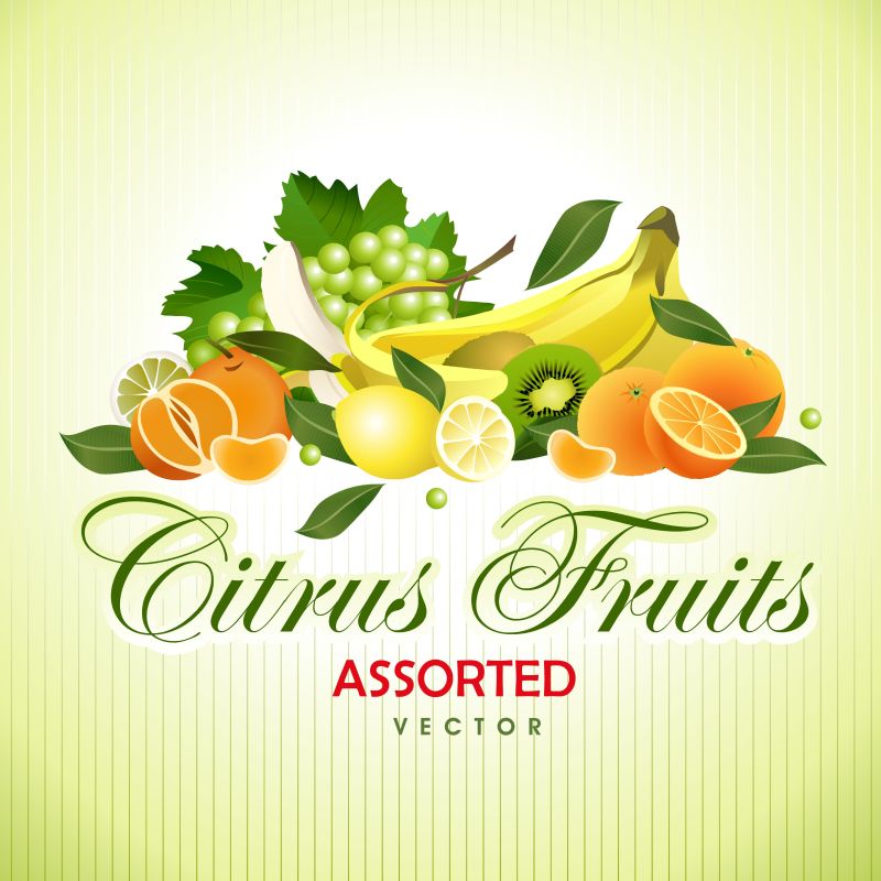 矢量的新鲜水果插图