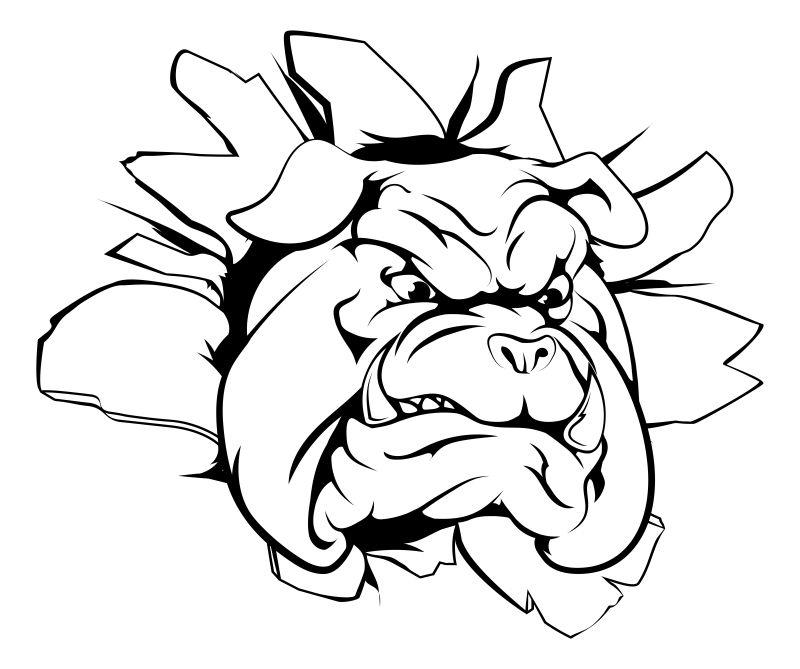 矢量斗牛犬的插图设计