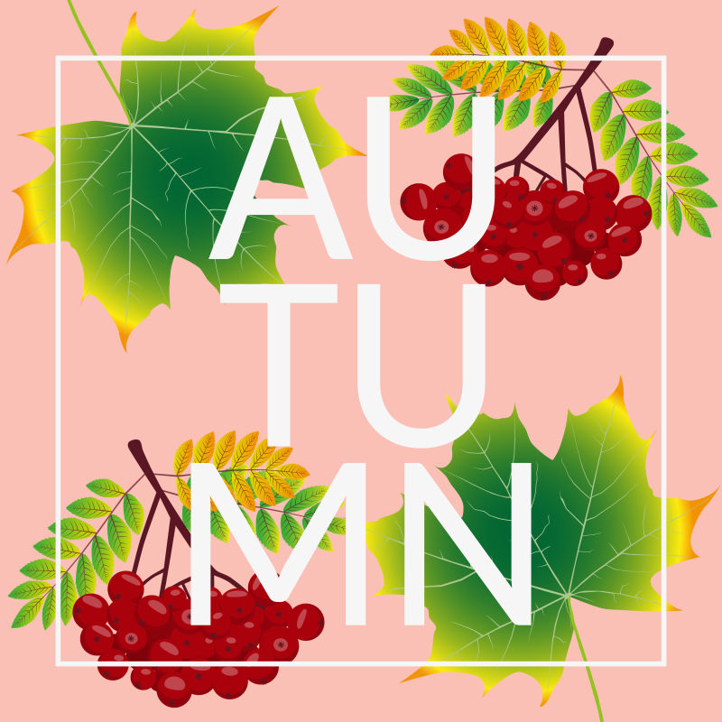 矢量彩色秋叶插图设计