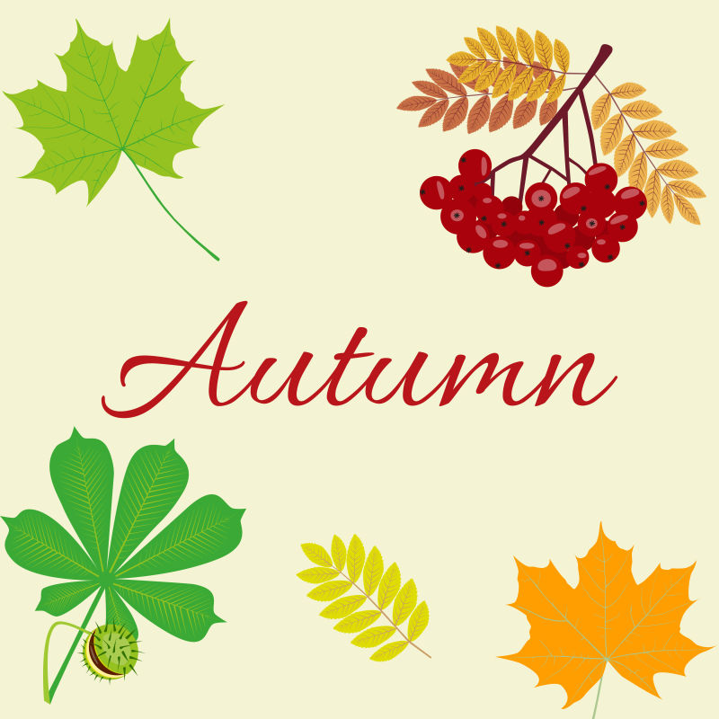 彩色的秋叶矢量插图设计