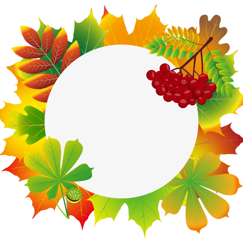 矢量的秋叶边框设计