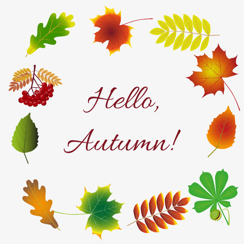 矢量彩色秋叶插图