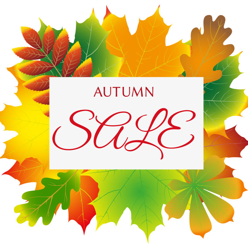 矢量的秋季销售卡片设计