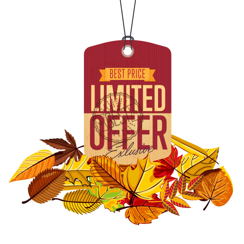 创意矢量秋季元素折扣促销标签设计