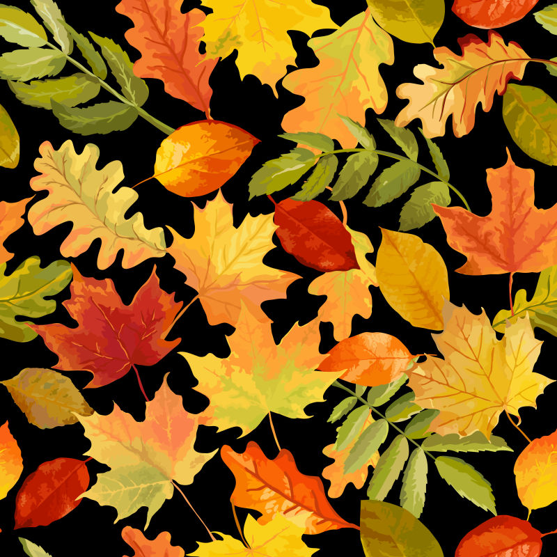 矢量的秋叶背景图片 秋叶图案的矢量背景设计素材 高清图片 摄影照片 寻图免费打包下载
