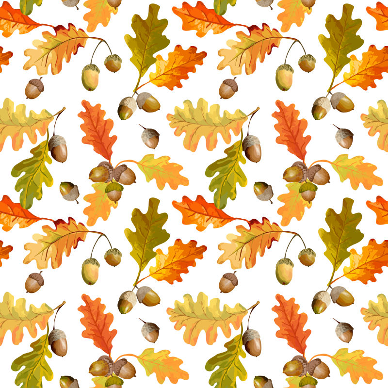 矢量的橡树果实图案背景