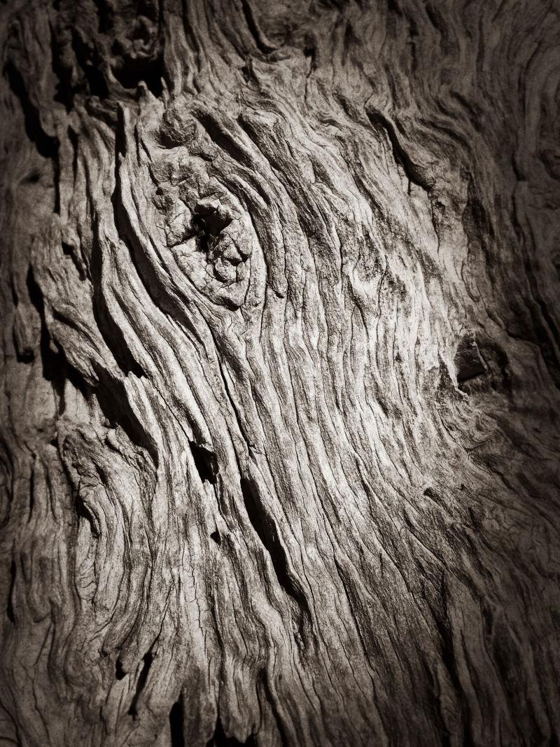 干裂的老树皮纹理背景