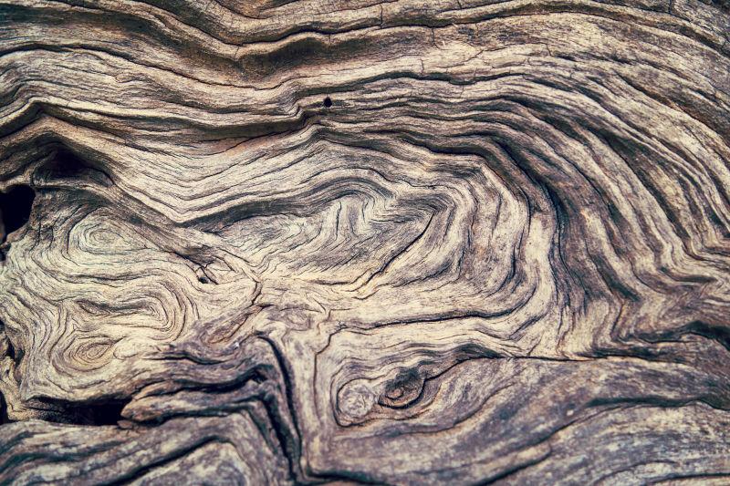 树皮的纹理背景