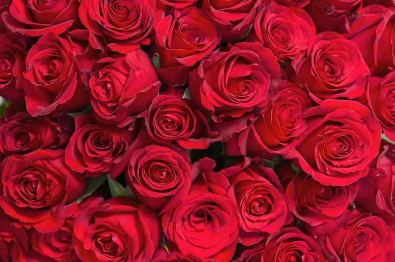 以玫瑰红色花束为背景的花朵