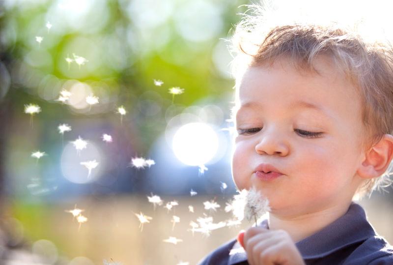 快乐的孩子在花园里玩蒲公英