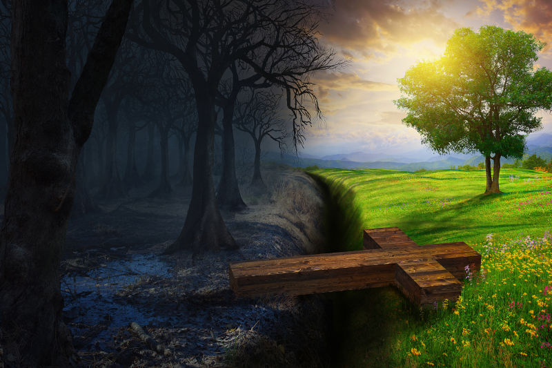 横跨在死亡森林和美丽草甸之间的十字架