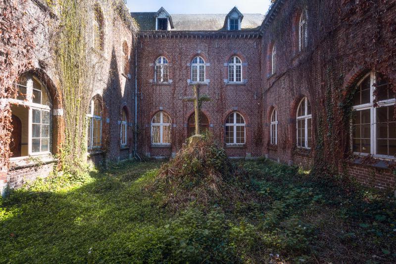 杂草丛生的废弃建筑