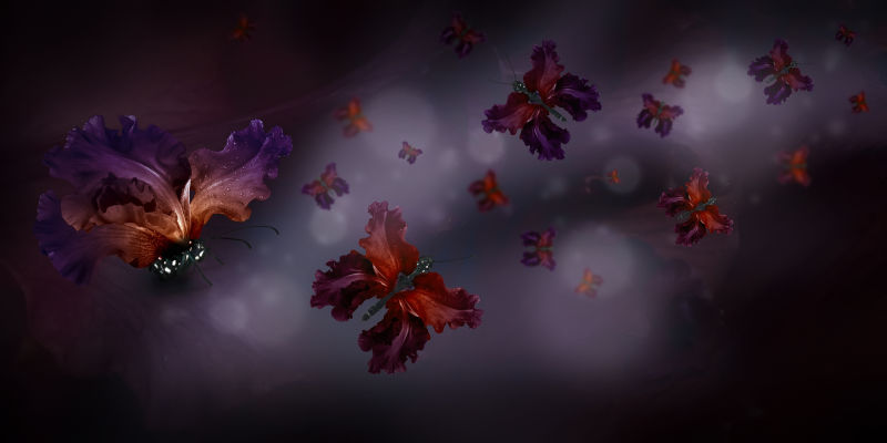 深色模糊背景上拥有渐变花朵翅膀的蝴蝶