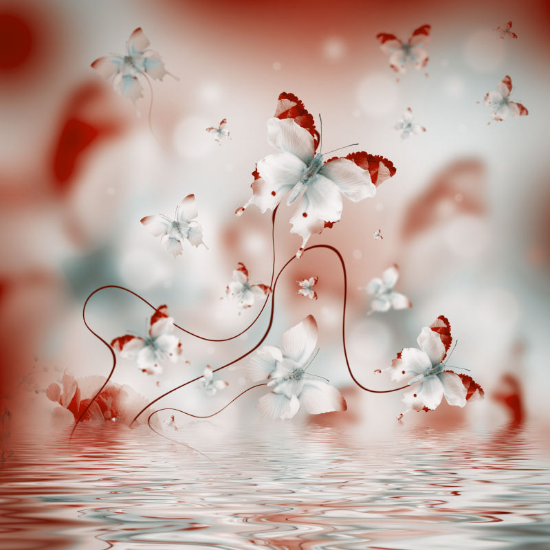 水波背景上飞舞的蝴蝶