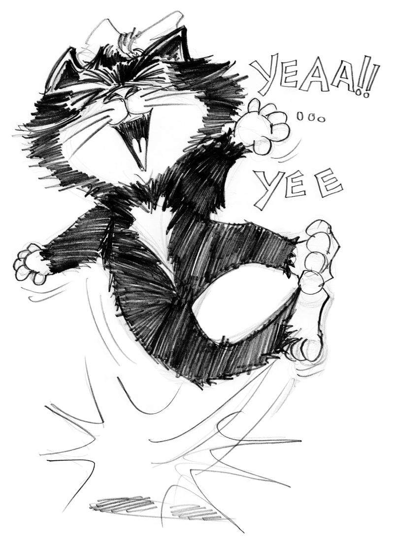 猫拍拍脚跳很开心