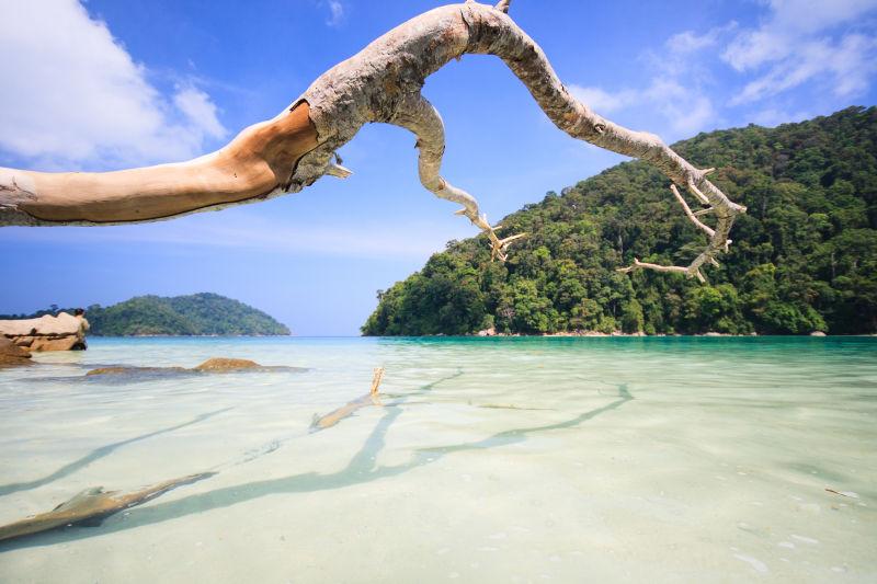 蓝天白云下的美丽海景