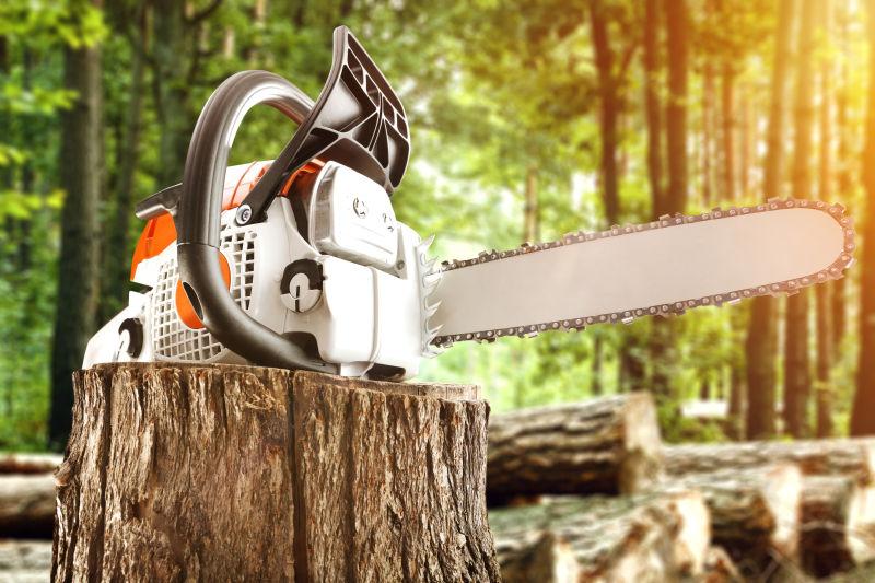 森林里树墩上的电动机器