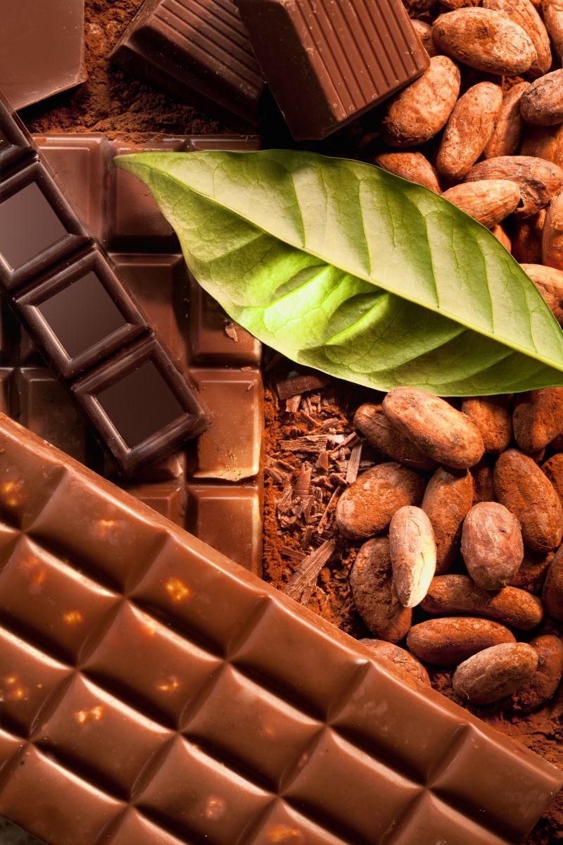 巧克力粉和巧克力块