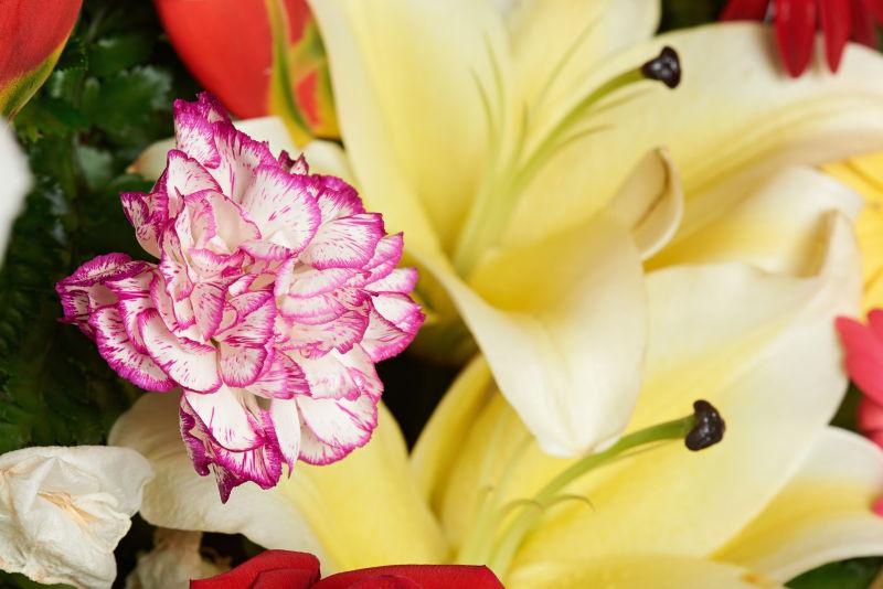 白粉色的康乃馨和黄色百合花