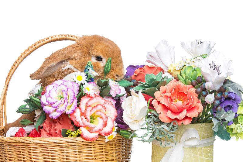白色背景下篮子里的兔子和美丽的花束