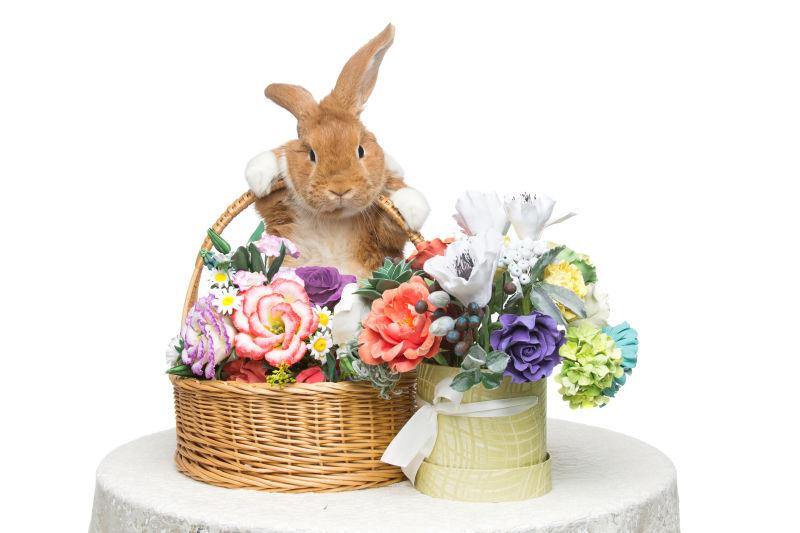 白色背景下篮子里的花束和兔子