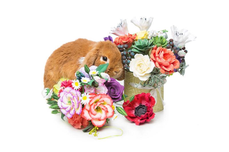 白色背景下可爱的兔子和花束