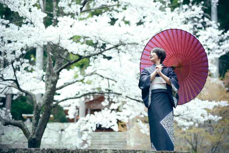 日本和服女人拿着伞图片 白色樱花树下拿着红伞的日本和服女人素材 高清图片 摄影照片 寻图免费打包下载
