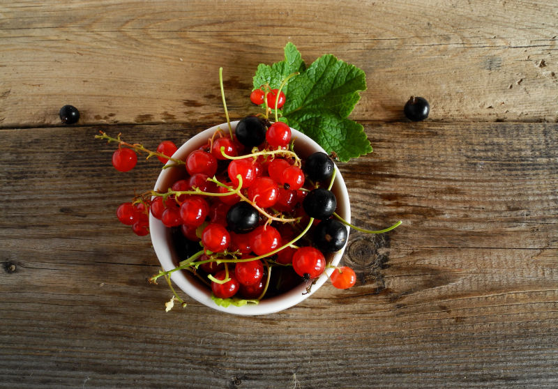 白色器具中的醋栗