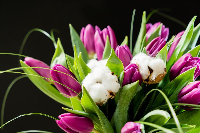 黑色背景前的郁金香花束
