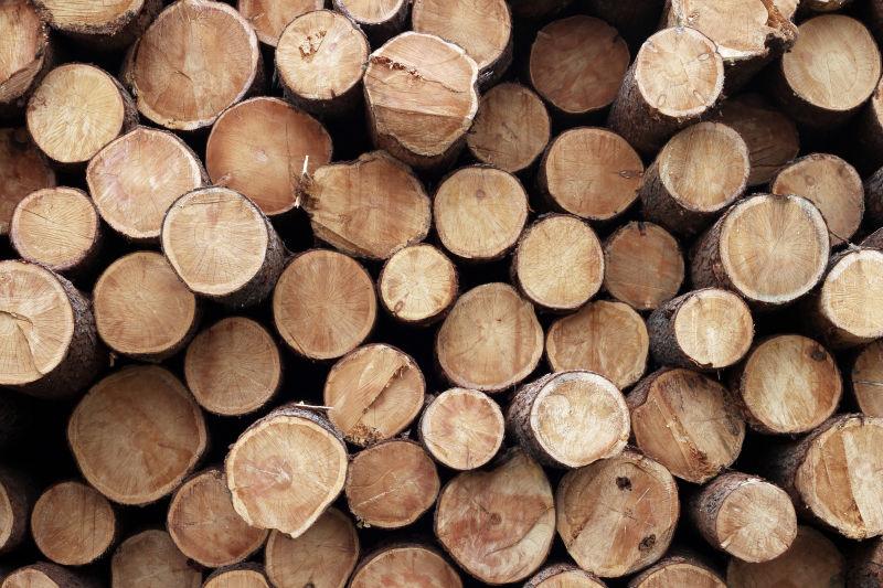 木头图片-木材工厂里整齐的木头素材-高清图片-摄影照片-寻图免费打包下载
