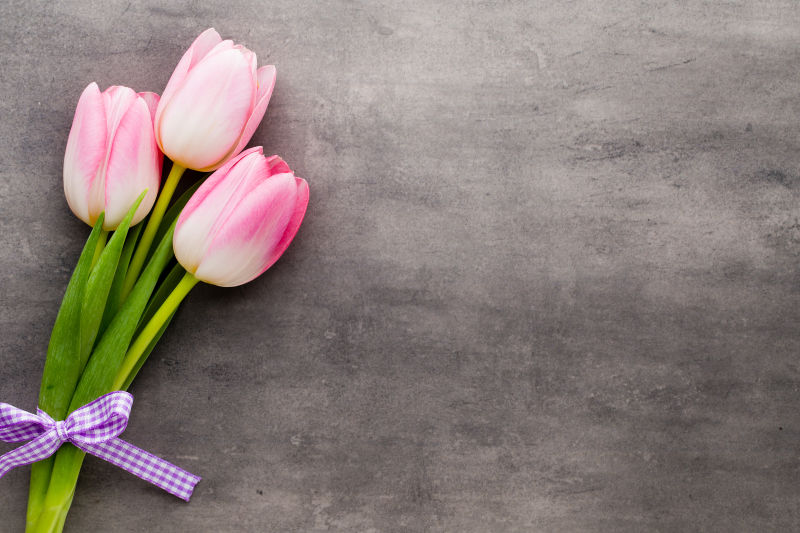 三只粉色的郁金香