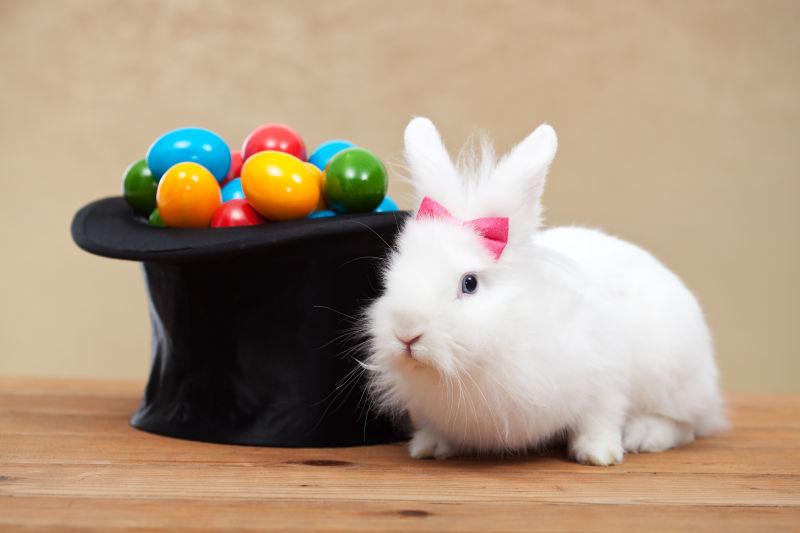 木制背景下的可爱的兔子守护着装复活节彩蛋的魔术师帽