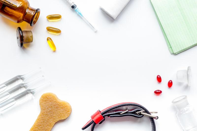 白色背景下的宠物护理概念