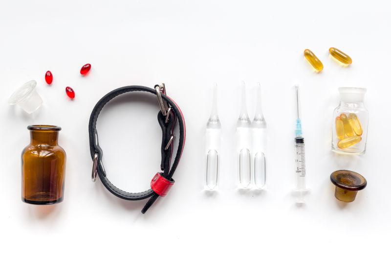 家庭宠物护理治疗概念